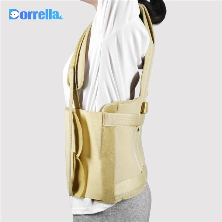 full back support belt