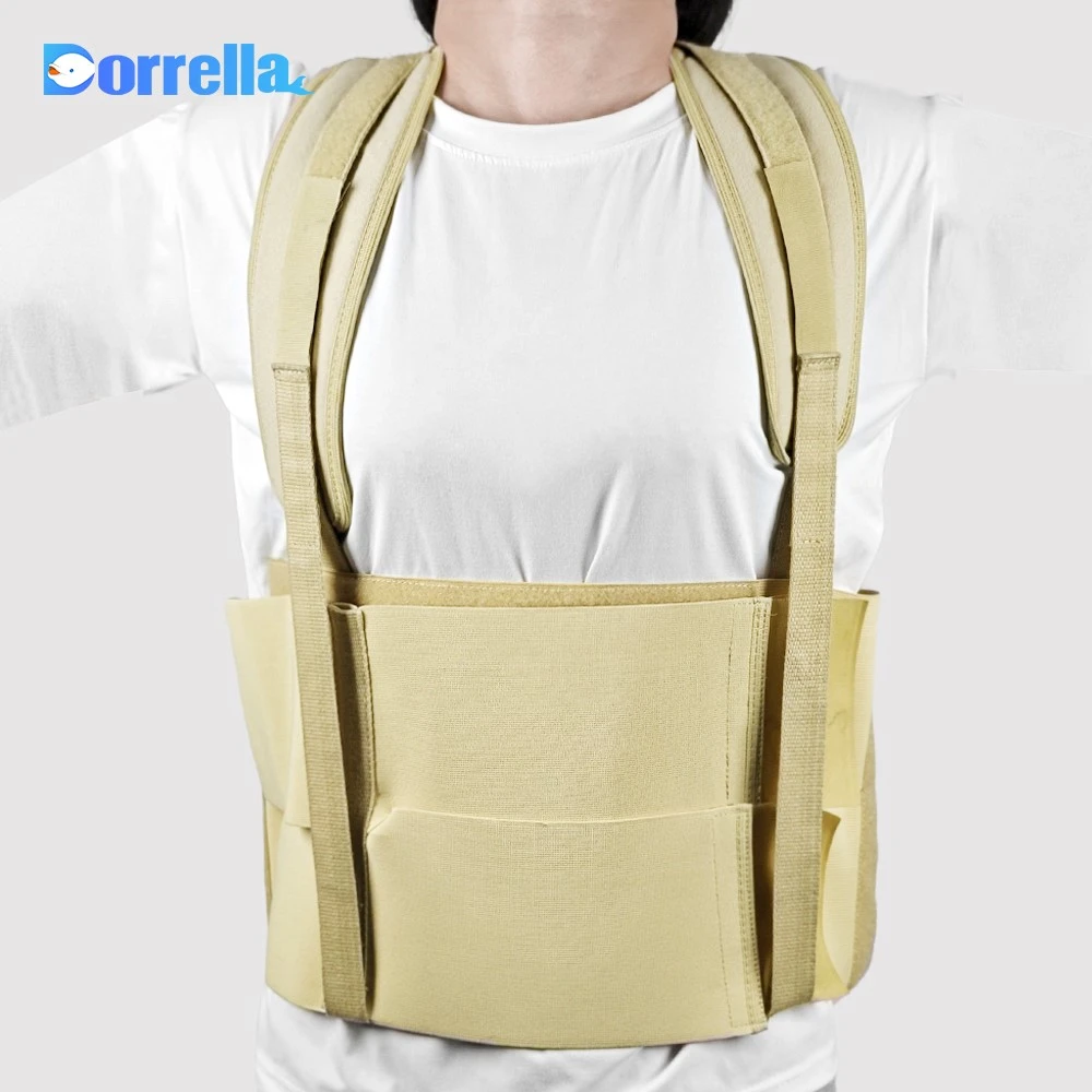 main full back support belt main full back support belt